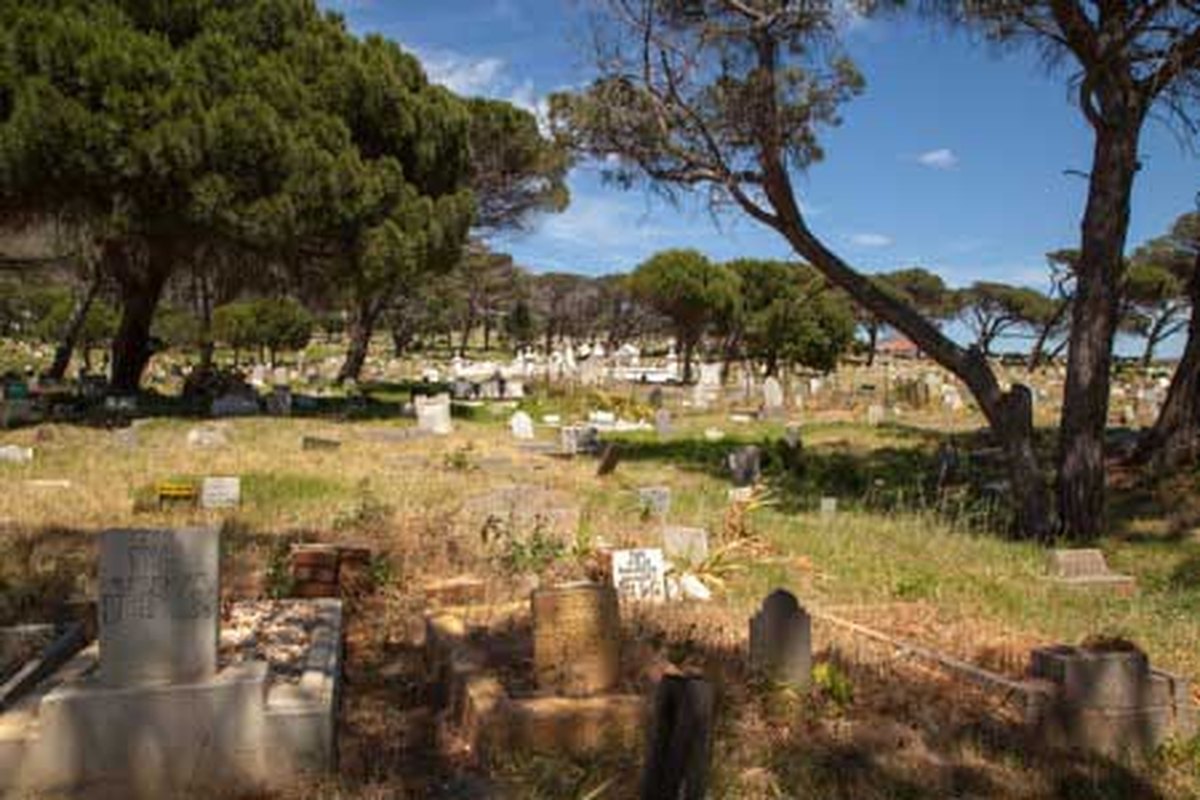 Mowbray Muslim Cemetery — view across the graveyard